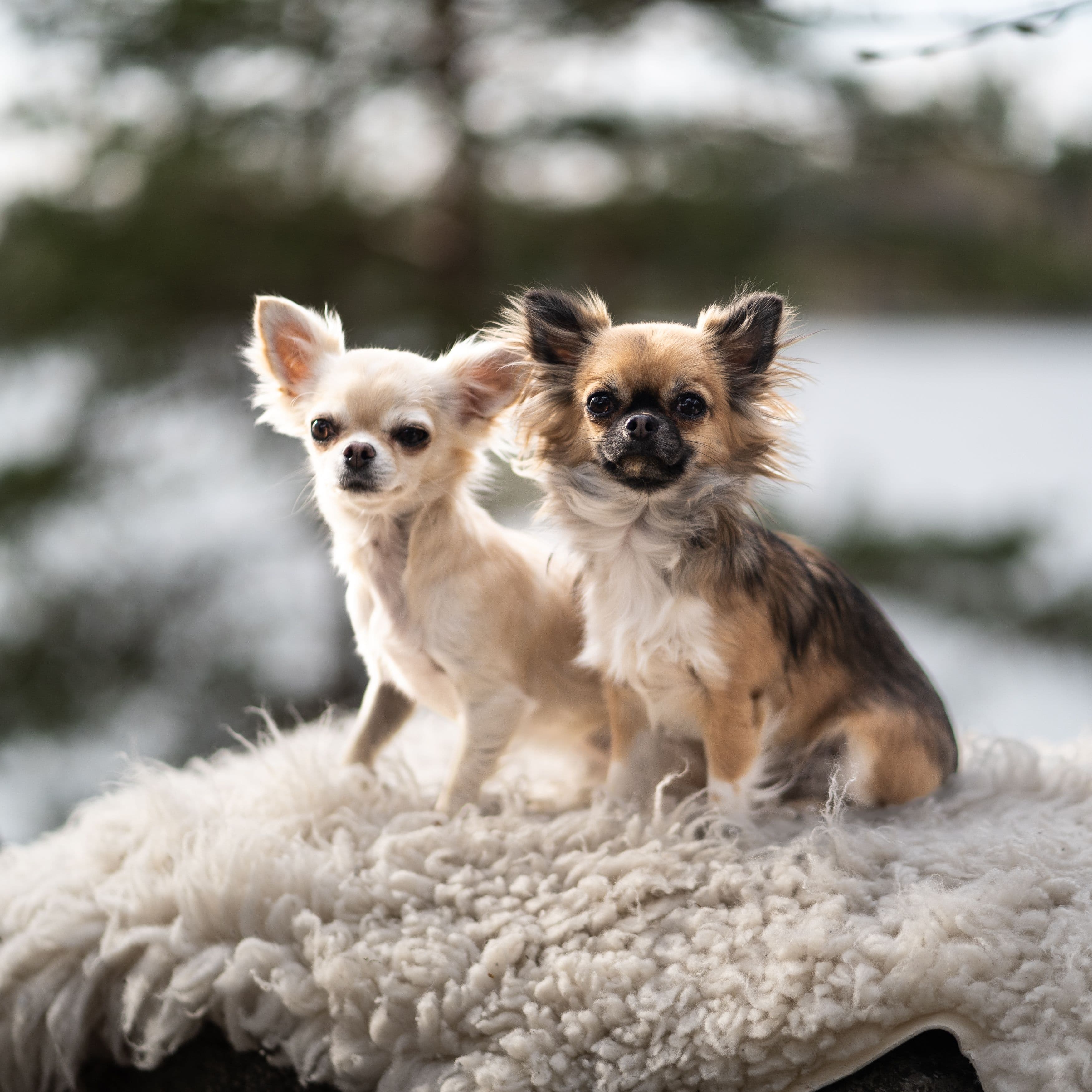 Gloria Salo - Secondary